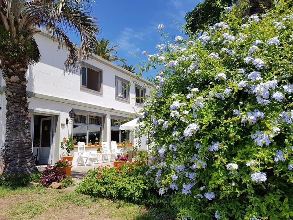Hotel Puerto Las Palmas Punta del Este Eksteriør billede